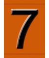 Hazchem Embossed Triplex Digit Numeral 7